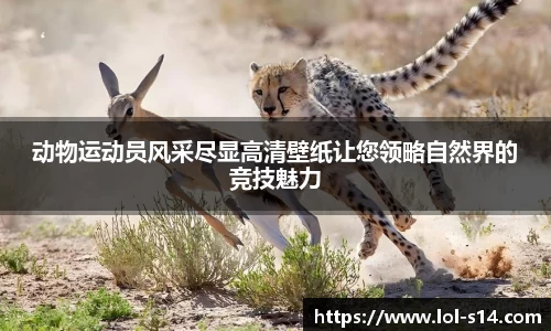 英雄联盟竞猜